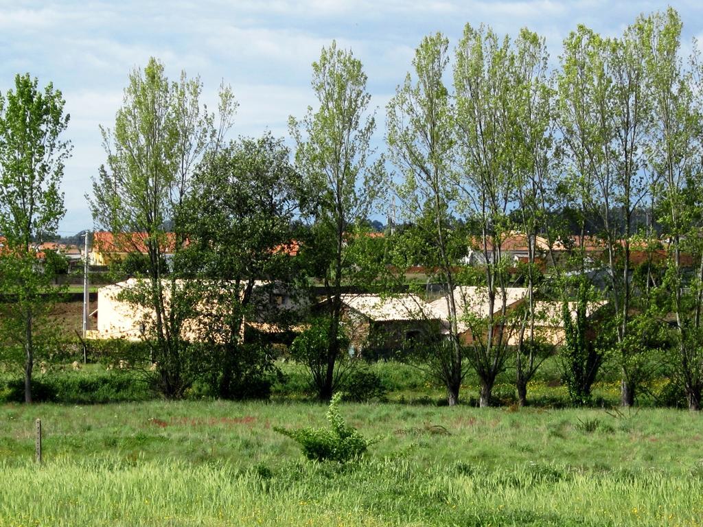 Гостевой дом Casa Do Moinho Овар Экстерьер фото